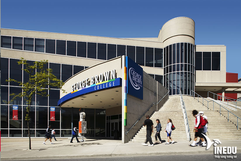 Trường George Brown