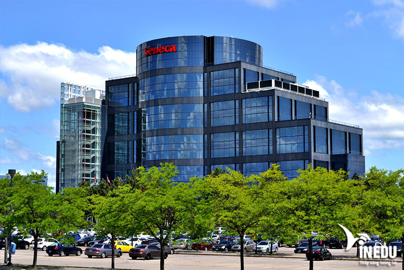 Trường cao đẳng Seneca