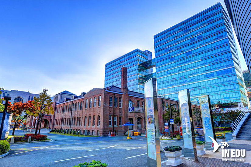 Đại học Dong A - Trường tư thục top đầu tại Hàn Quốc