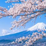 Du học Nhật Bản