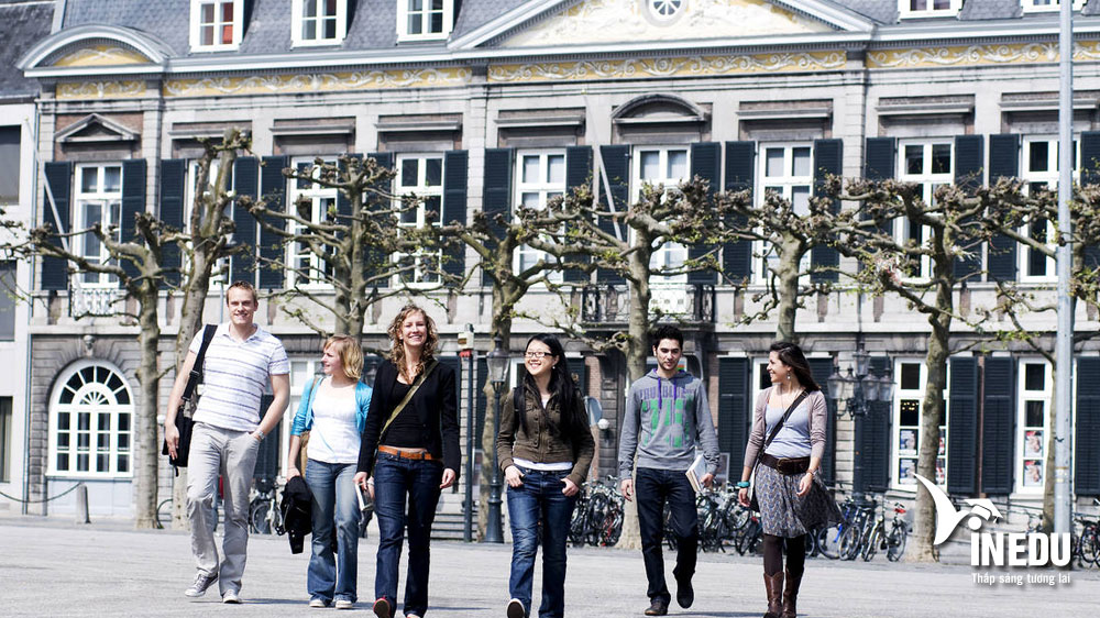 TOP 4 trường đào tạo ngành kinh doanh hàng đầu tại Hà Lan