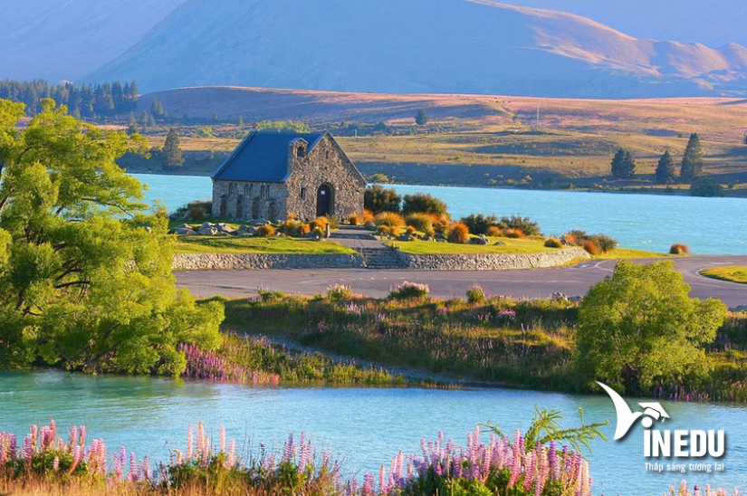 Du học New Zealand