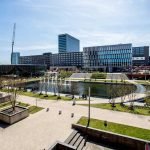 Du học Hà Lan ngành tâm lý học