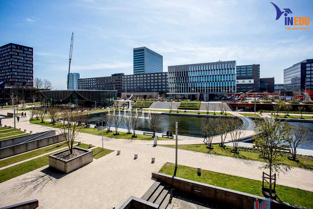 Du học Hà Lan ngành tâm lý học