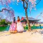 Du học Hàn Quốc tự túc