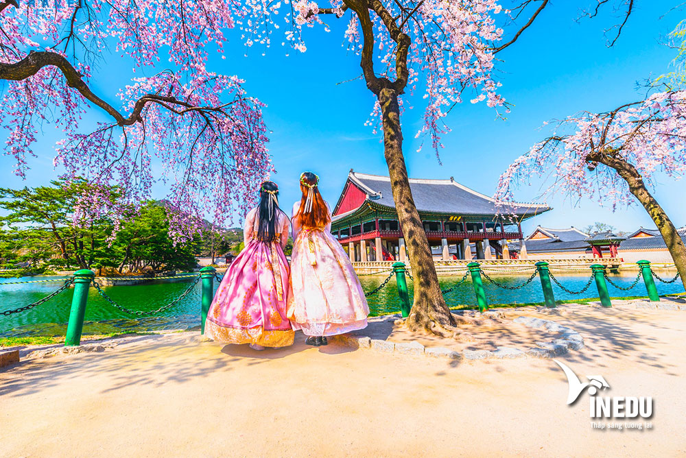 Du học Hàn Quốc tự túc