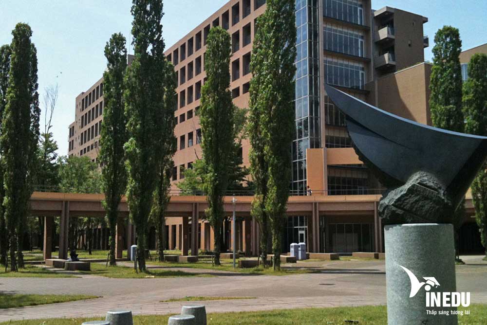 Du học Nhật Bản ngành kinh tế nên chọn trường nào