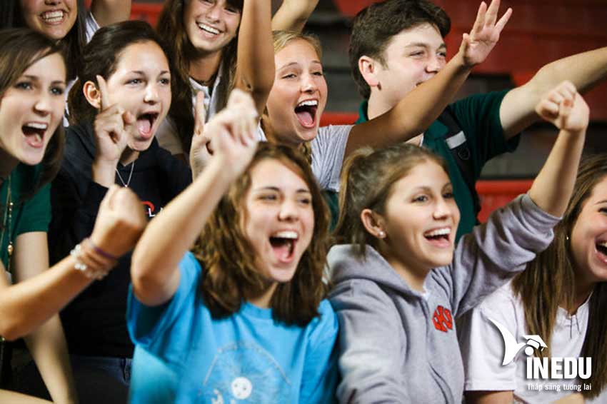 Đọc xong bài viết này, bạn sẽ muốn đi du học Canada ngay lập tức