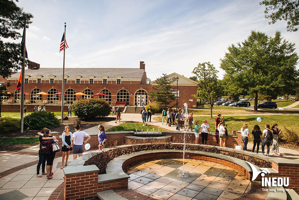 Học bổng du học Mỹ lên tới 100% học phí từ Susquehanna University