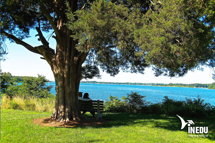 Du học Mỹ chưa bao giờ dễ như thế tại St Mary’s College of Maryland