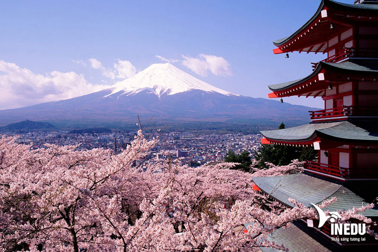 du-hoc-nhat-ban-co-tot-khong-co-nen-du-hoc-hay-khong