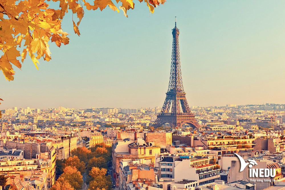 ho-so-du-hoc-phap-bao-gom-nhung-gi-ban-da-biet