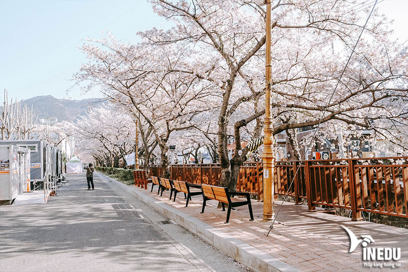 Đại sứ quán Hàn Quốc tại Việt Nam