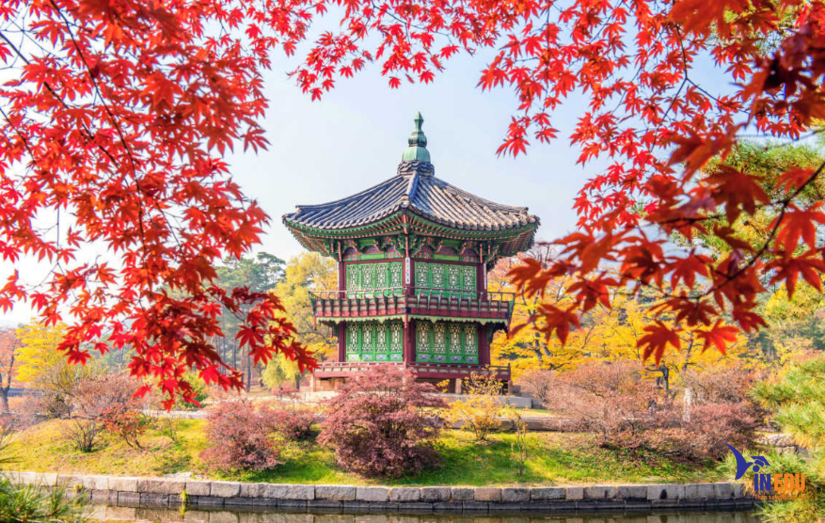 Du học Hàn Quốc kỳ thi Topik