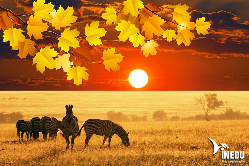 Đại sứ quán Nam Phi tại Việt Nam ở đâu? Có nhiệm vụ gì?