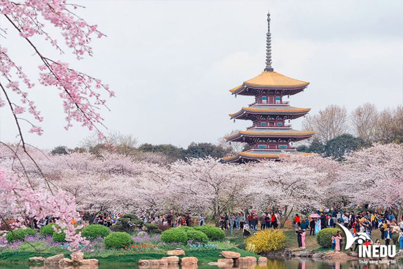 Vì sao nên du học Trung Quốc tại Vũ Hán