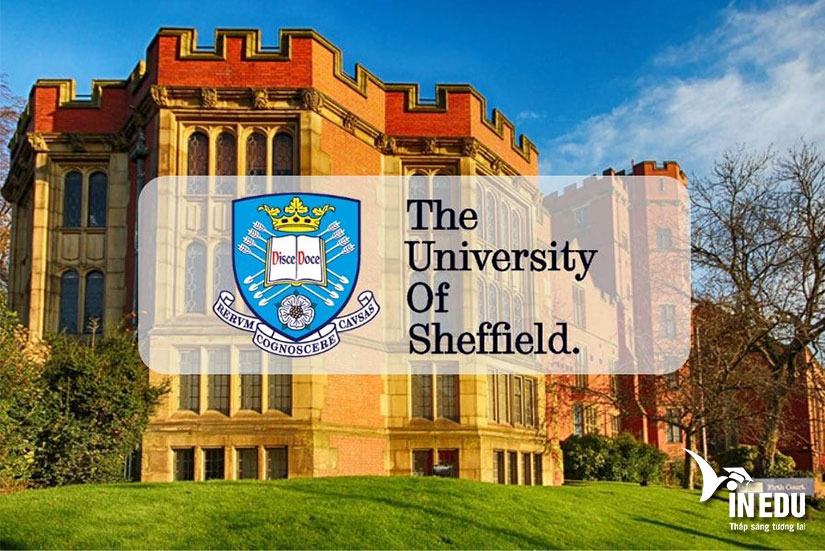 Đại học Sheffield, ngôi trường năng động bậc nhất nước Anh