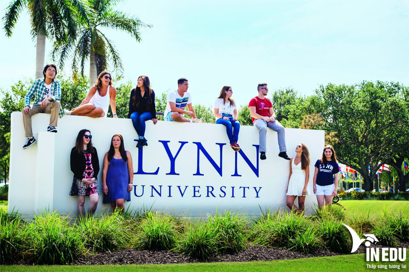 Đại học Lynn - Học bổng lên đến 17,000 USD