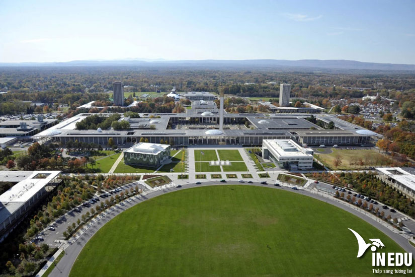 Học bổng $17,500/năm từ University at Albany - học phí chỉ còn 13,000/năm!