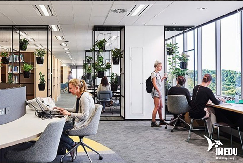 Du học Úc ngành tâm lý tại trường Australian College of Applied Psychology (ACAP)