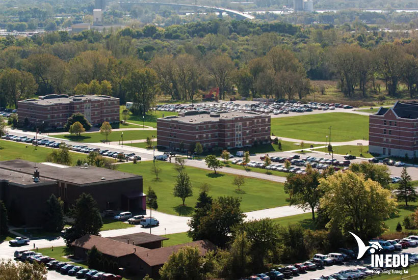 Lewis University học phí – Học bổng đến 50% học phí!