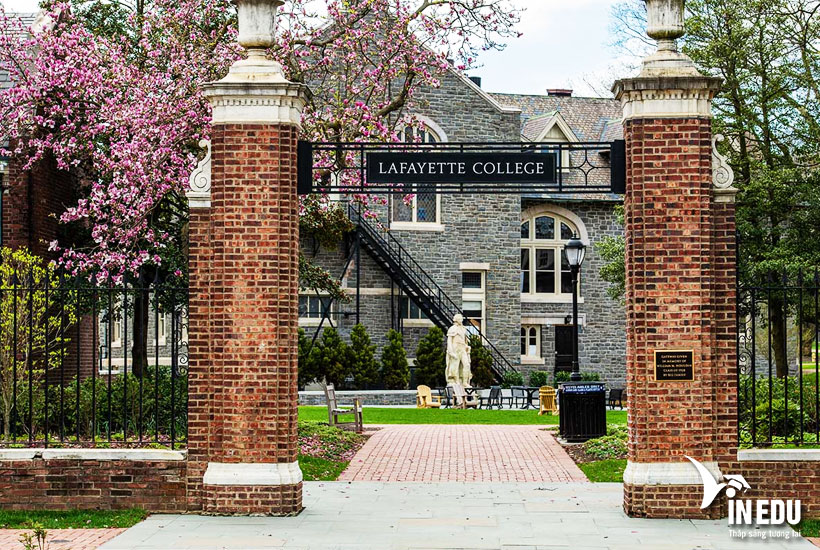 Lafayette College – Chương trình đào tạo, Học phí