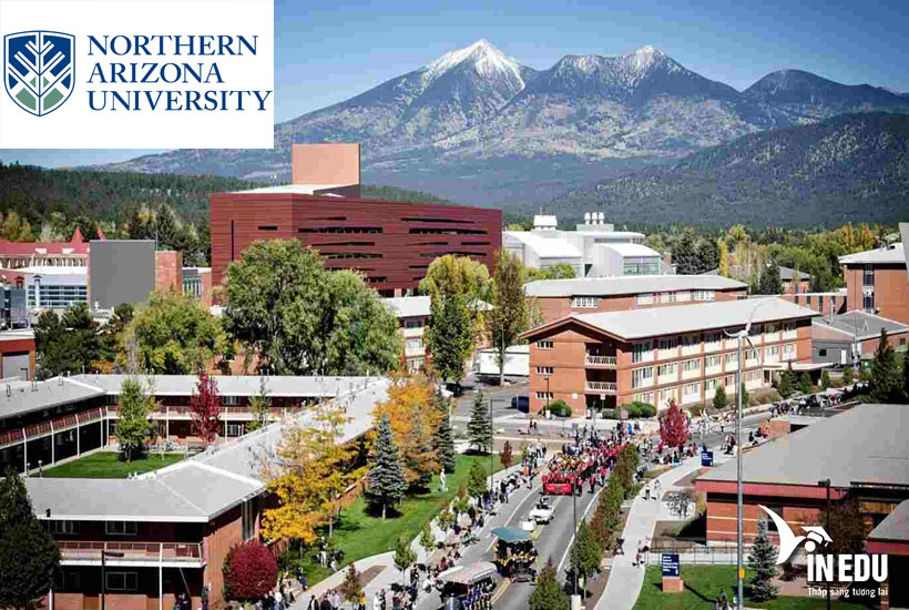 Northern Arizona University – Trường chất lượng cao ở Mỹ