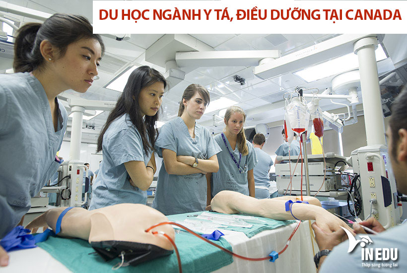 Du học ngành y tá, điều dưỡng tại Canada