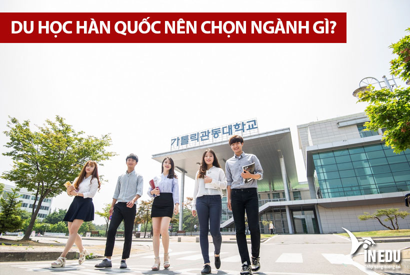 Du học Hàn Quốc nên chọn ngành gì? Các ngành học "hot" tại Hàn Quốc
