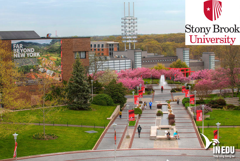Stony Brook University – Chương trình đào tạo, Học phí
